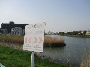 29(1)IMG_2337 古隅田川